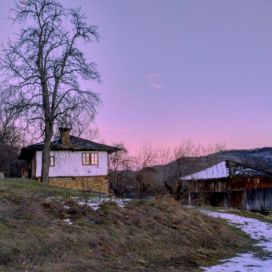 Karashka House Villa Apriltsi  Eksteriør bilde