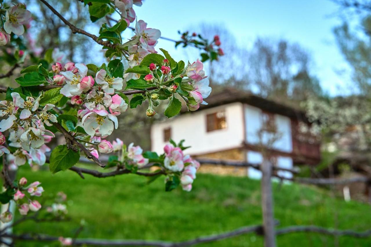 Karashka House Villa Apriltsi  Eksteriør bilde