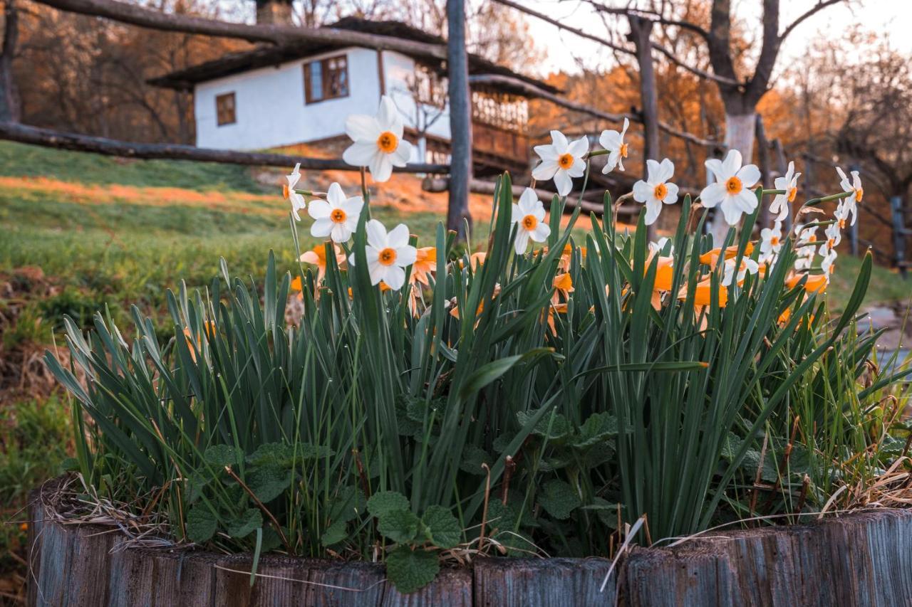 Karashka House Villa Apriltsi  Eksteriør bilde