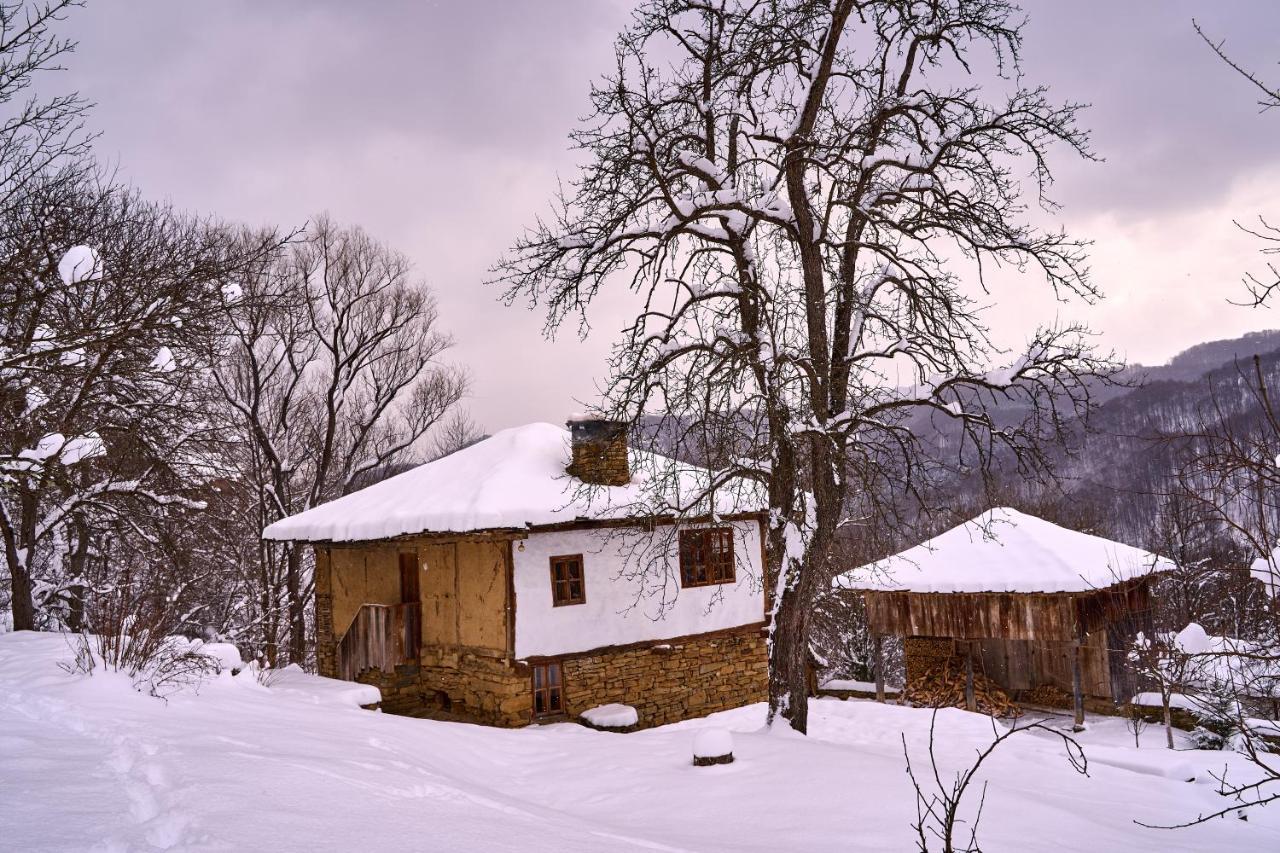 Karashka House Villa Apriltsi  Eksteriør bilde