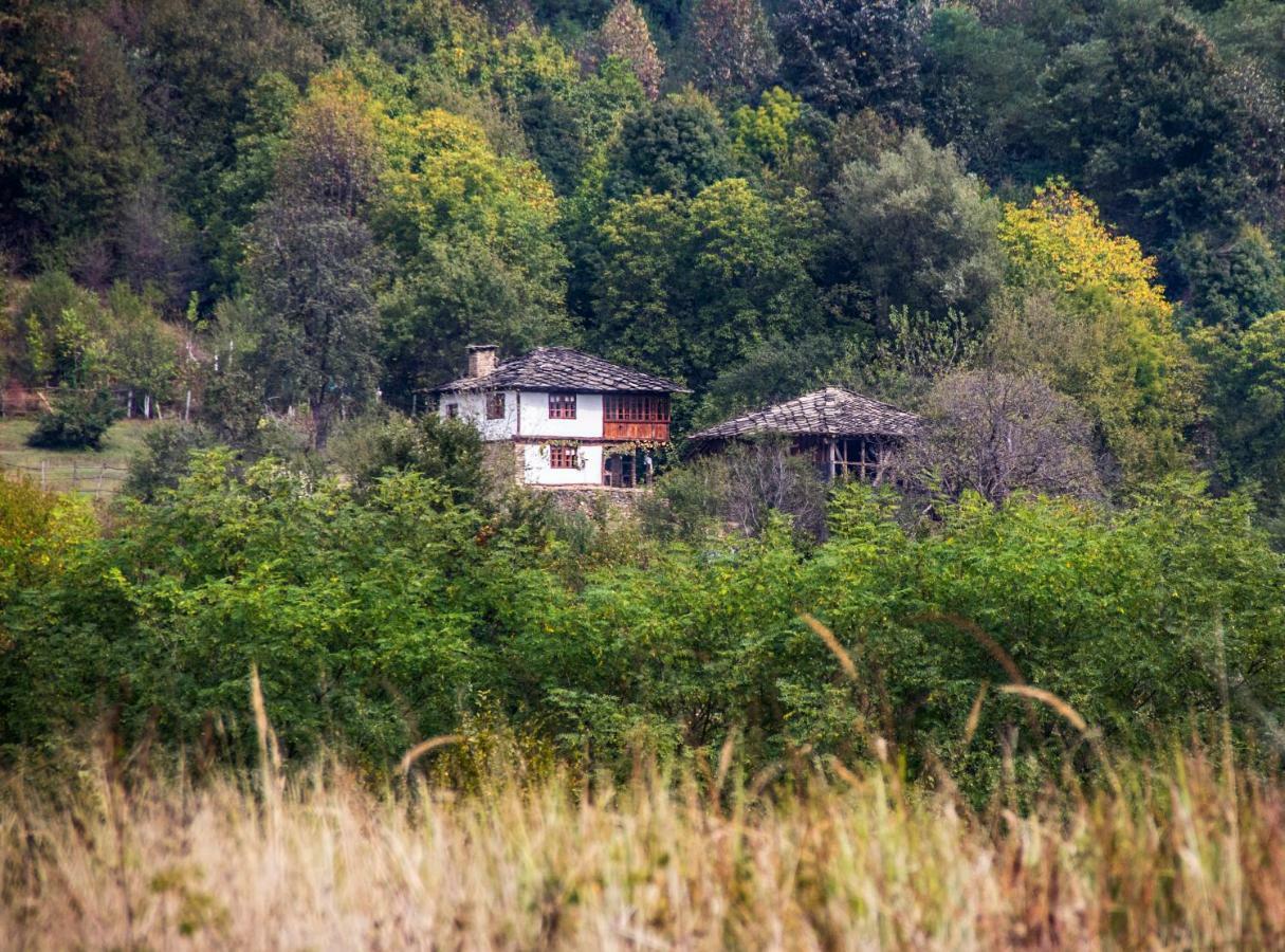 Karashka House Villa Apriltsi  Eksteriør bilde